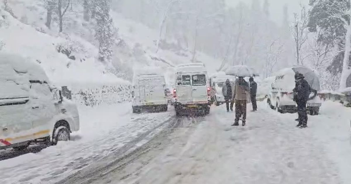 Manali Latest Update